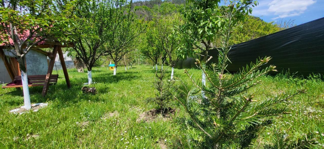 Casa Carbunaru Tîrgu Ocna Esterno foto