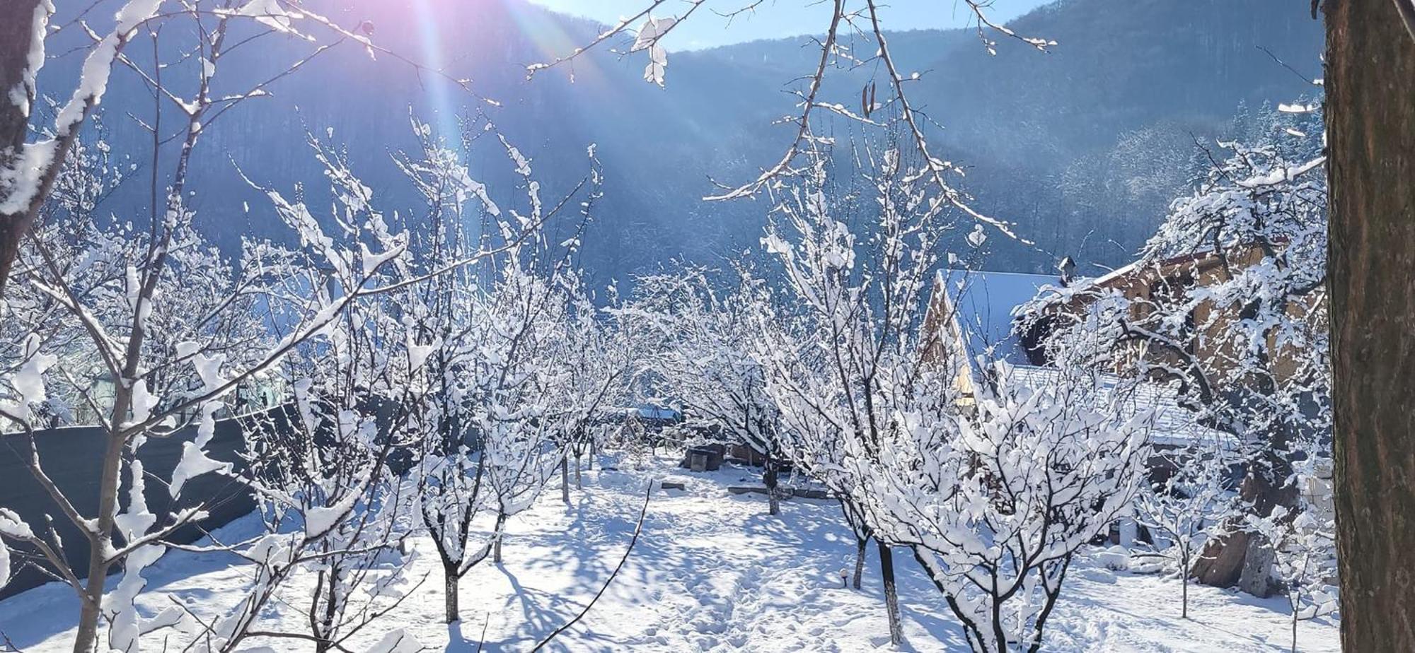 Casa Carbunaru Tîrgu Ocna Esterno foto