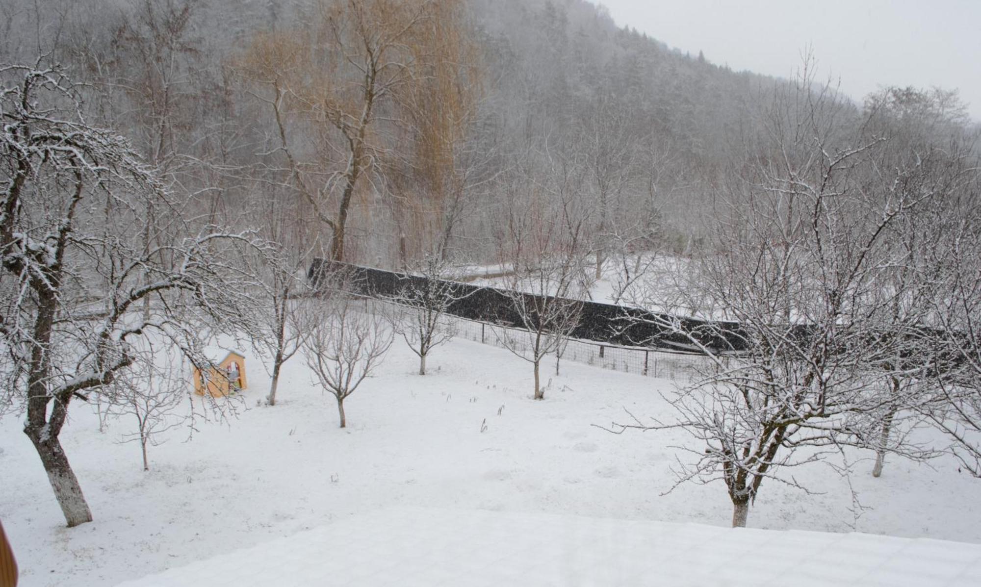 Casa Carbunaru Tîrgu Ocna Esterno foto
