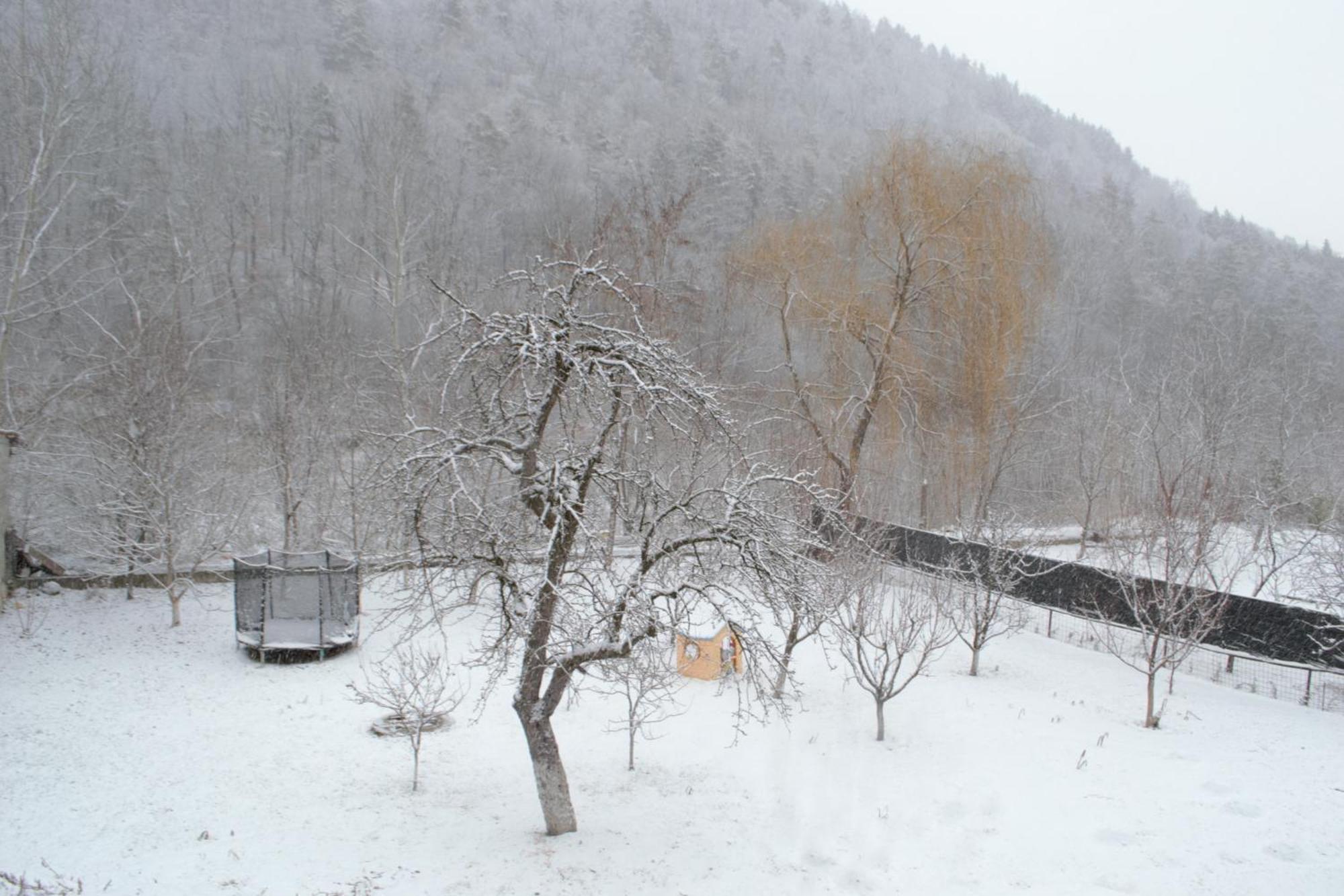 Casa Carbunaru Tîrgu Ocna Esterno foto