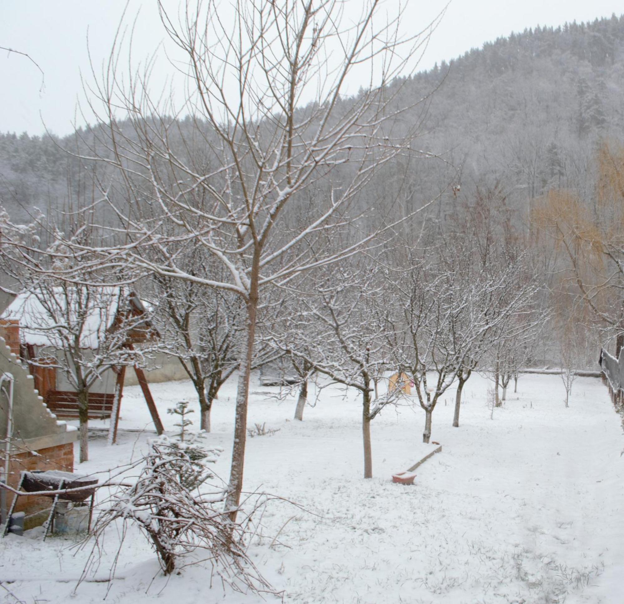 Casa Carbunaru Tîrgu Ocna Esterno foto